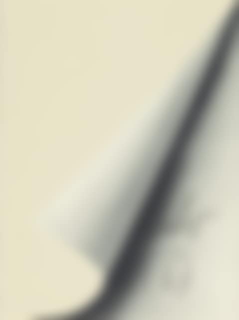 Leaf corner (preview)