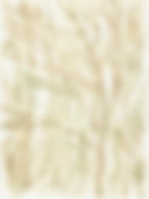 “The green of the bosco” (preview)