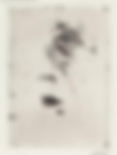 1 sheet from x Hanno"s death. (preview)