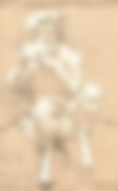 Seated satyr with pan flute. (preview)