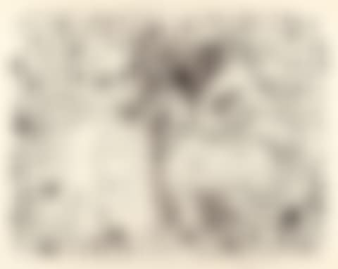L"Ecuyere. (preview)