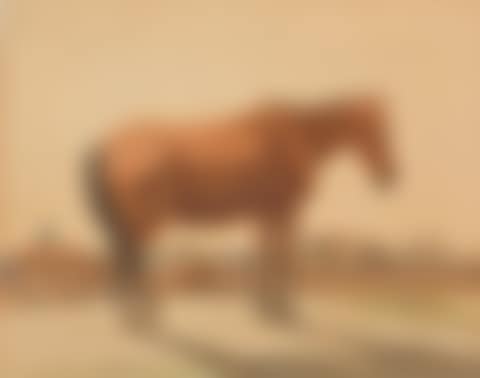Horse in the pasture. (preview)