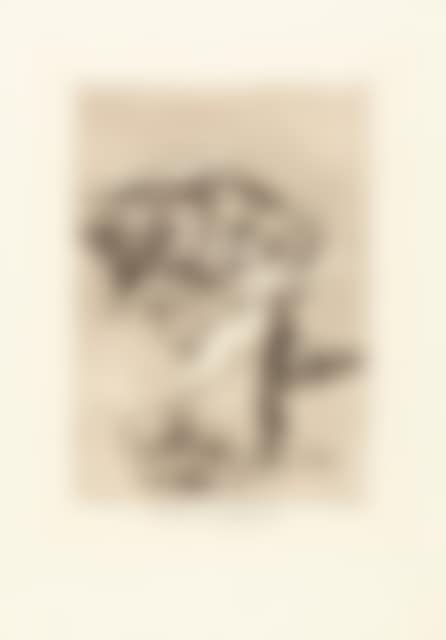 “No te escaparas.” (preview)
