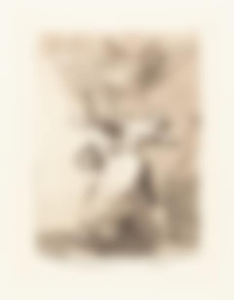 “No hay quien nos desate?” (preview)