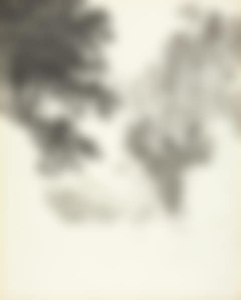 Rocky landscape. (preview)