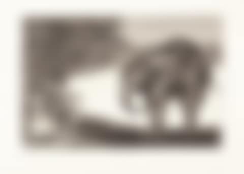 Quien se pondrá el cascabel al gato? (Disparate de Beastia) (preview)