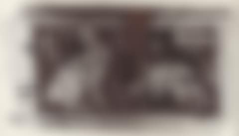 Rabbit sugar. (preview)