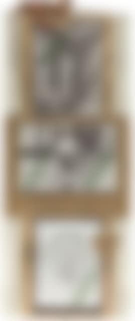 Poster Cross x Peace Celebration. (preview)