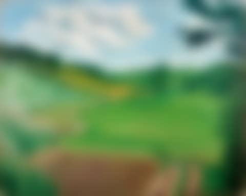 “Before the thunderstorm” (path from Gut Kose to Lake Koser) (preview)