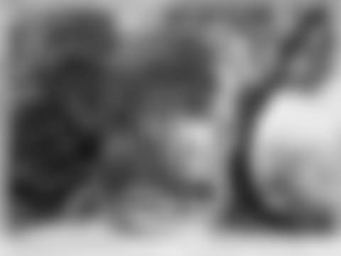 14 sheets: Landscapes with figures. (preview)