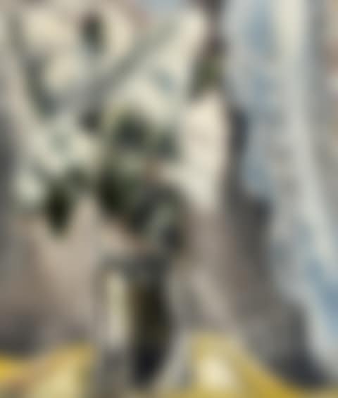 White lilacs in a glass vase. (preview)