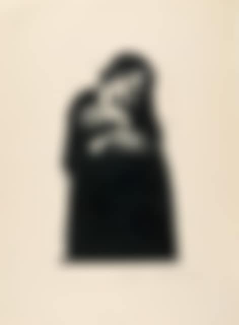 The Widow I (preview)