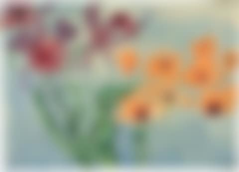 Orchid flowers (purple and orange). (preview)