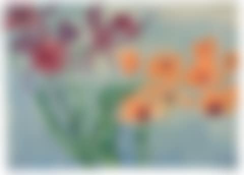 Orchid flowers (purple and orange). (preview)