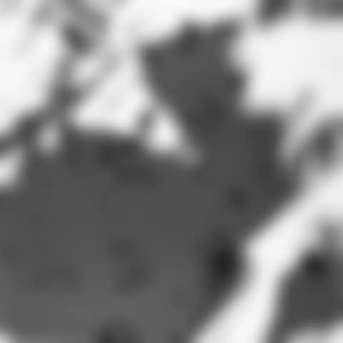 Swiss Alps. Motif B 3. (preview)