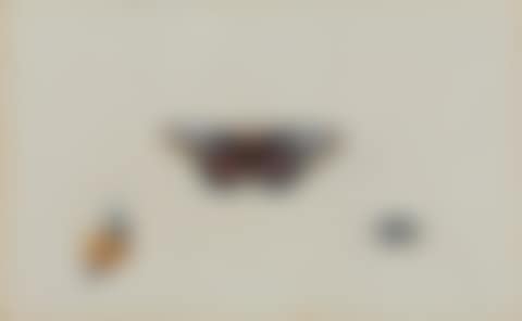 Butterfly, snail and beetle. (preview)