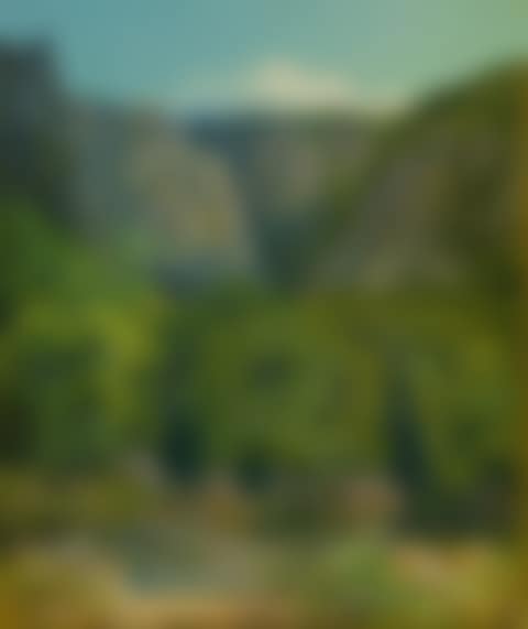 View in Saxon Switzerland. (preview)