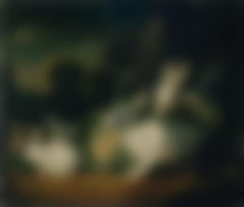 Rabbit family on a cabbage in front of the edge of the forest (preview)