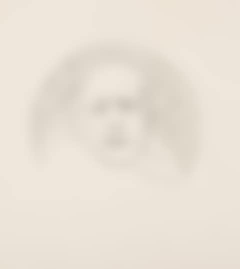 Self-portrait in a convex mirror. (preview)