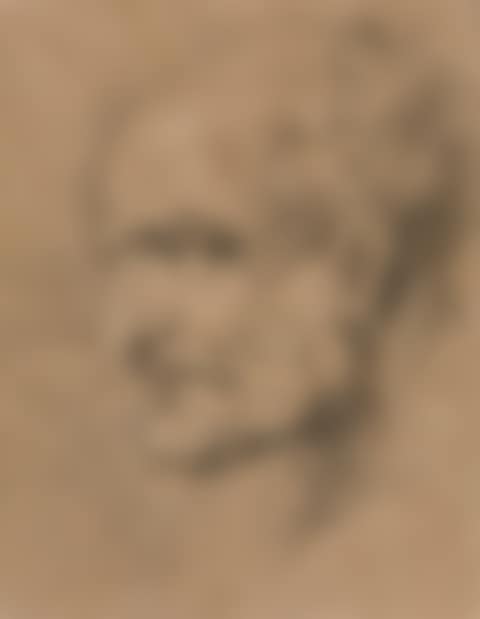 A male head to the left (preview)