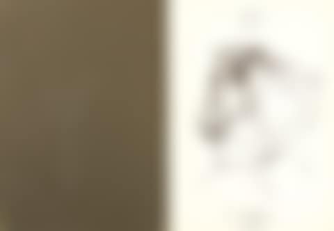 “1 touching story”. (preview)