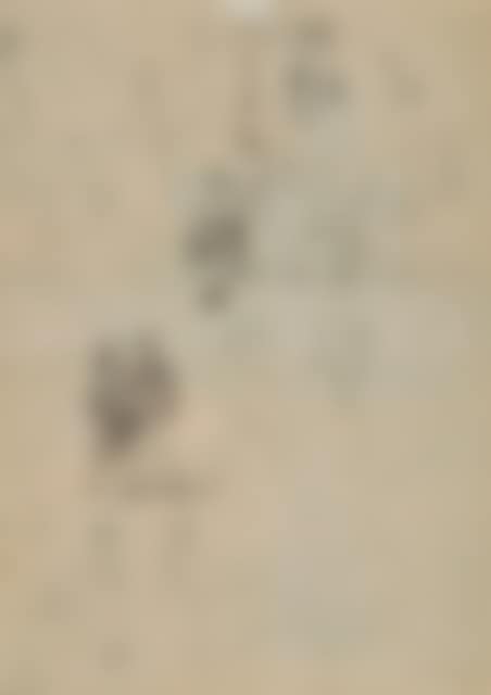6 sheets: Figure and head studies. (preview)