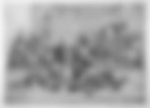 35 sheets: Various animal depictions. (preview)