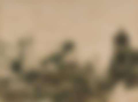 Ruins and storks in a southern landscape. (preview)