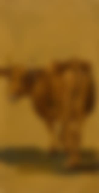 Standing cow. (preview)