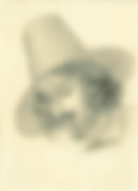 Portrait of a young man with a high hat. (preview)