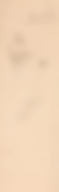 Study of a woman"s face. (preview)