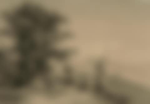 View of Vesuvius, two monks in the foreground. (preview)