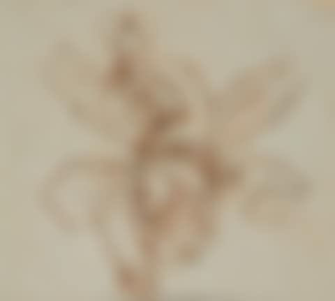 Portrait of a bearded man with long hair (preview)