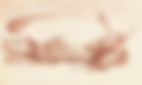 The broken bowl. (preview)