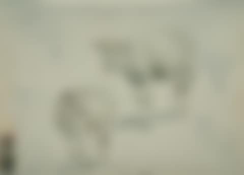 Study sheet with sheep. (preview)