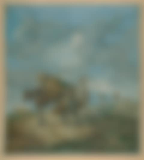 Shepherd with pack animals in mountainous pastures. (preview)