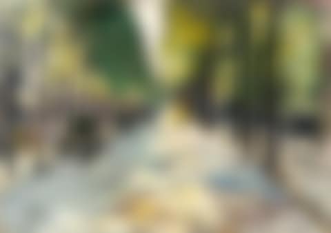 Berlin street in the sunshine (Street in Tiergarten) (preview)