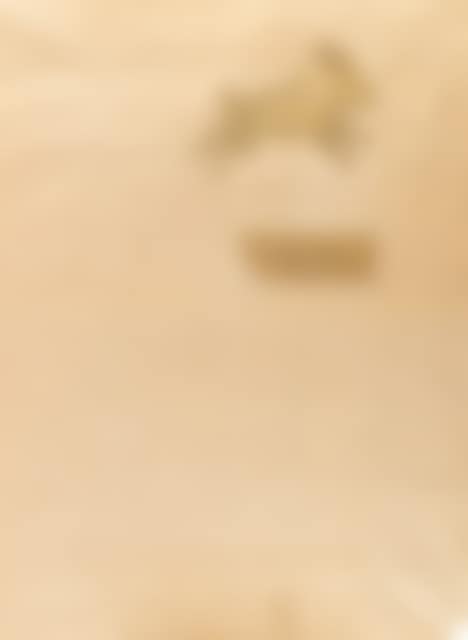 Steinhase/Goldhase (preview)