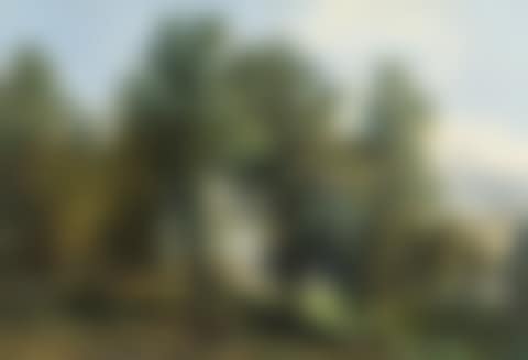 Tree lined meadow landscape (preview)