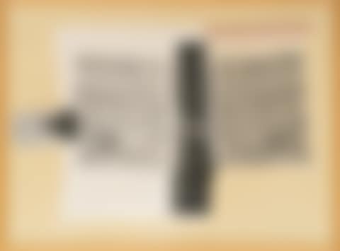Sheephead (from: The Airport Series) (preview)
