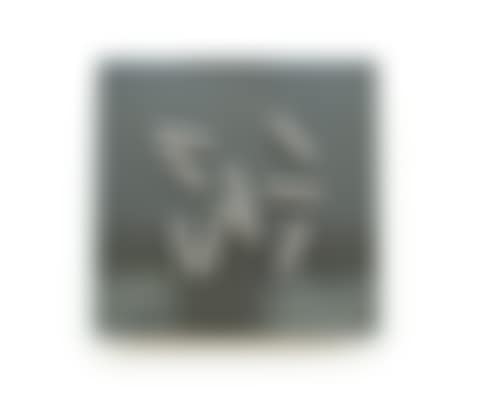 Never too late (preview)