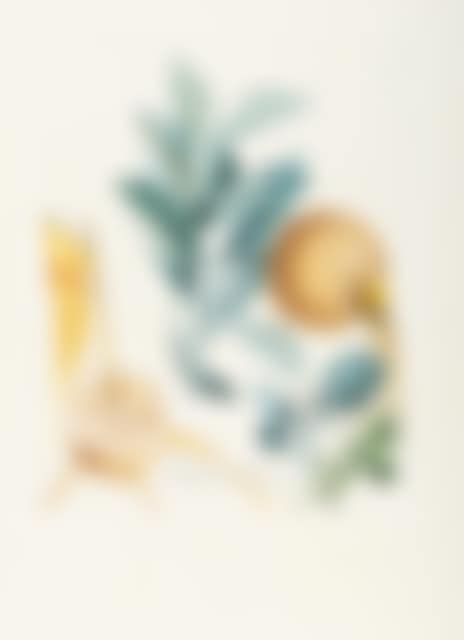 Pampelmousse érotique (preview)