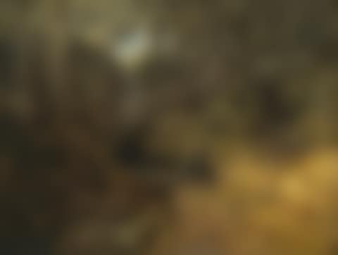 Two women in a forest landscape (preview)