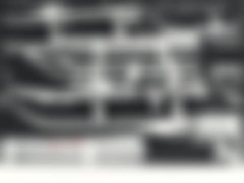 Detail from the Environment Das Rudel - The Pack (preview)