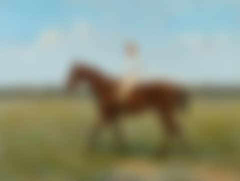 A jockey on horseback (preview)