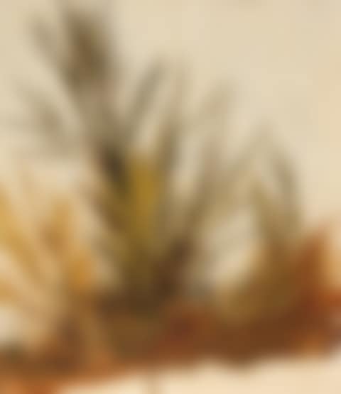 Study of Bushes (preview)