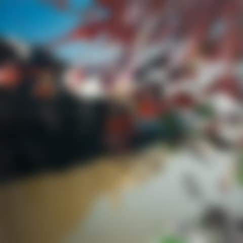 Florence (92/99) (preview)