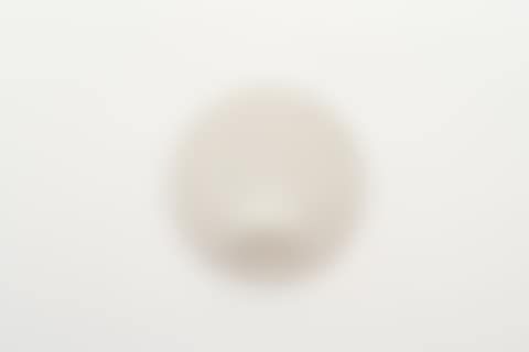 Un ovale bianco (White oval) (preview)
