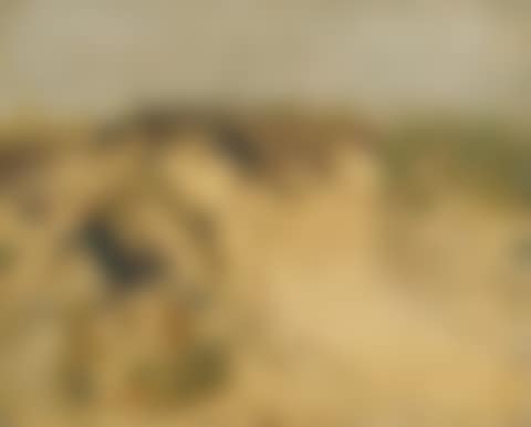 Dunes in St. Peter-Ording (preview)