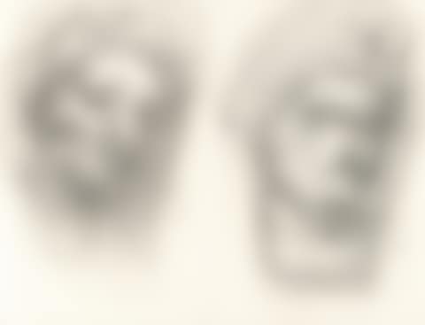 Recto: Untitled (Antique heads) - Verso: Study of a head (preview)